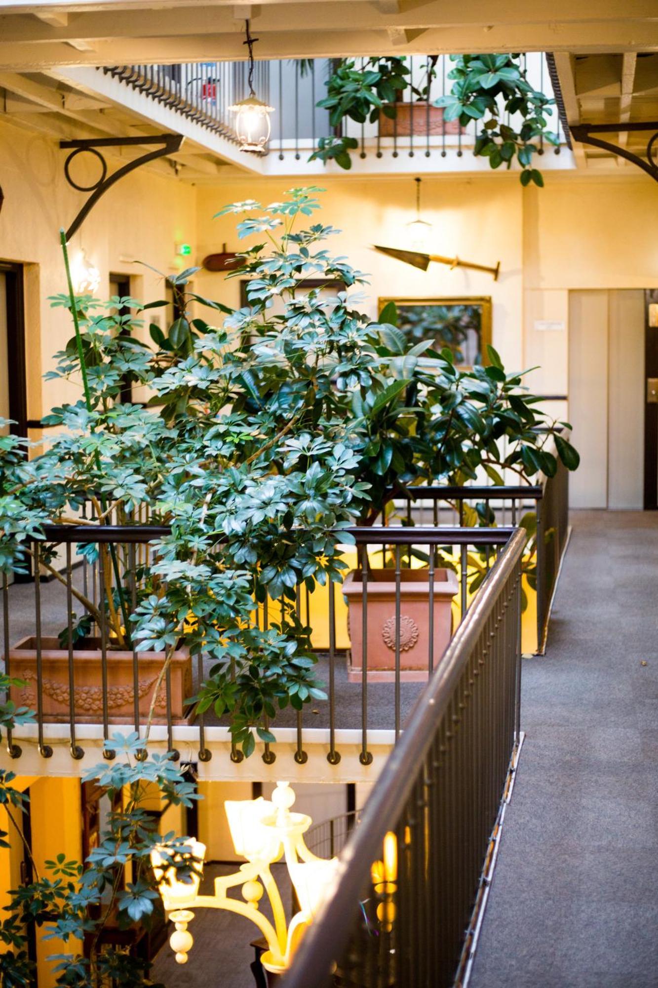 Grand Hotel D'Orleans Toulouse Bagian luar foto